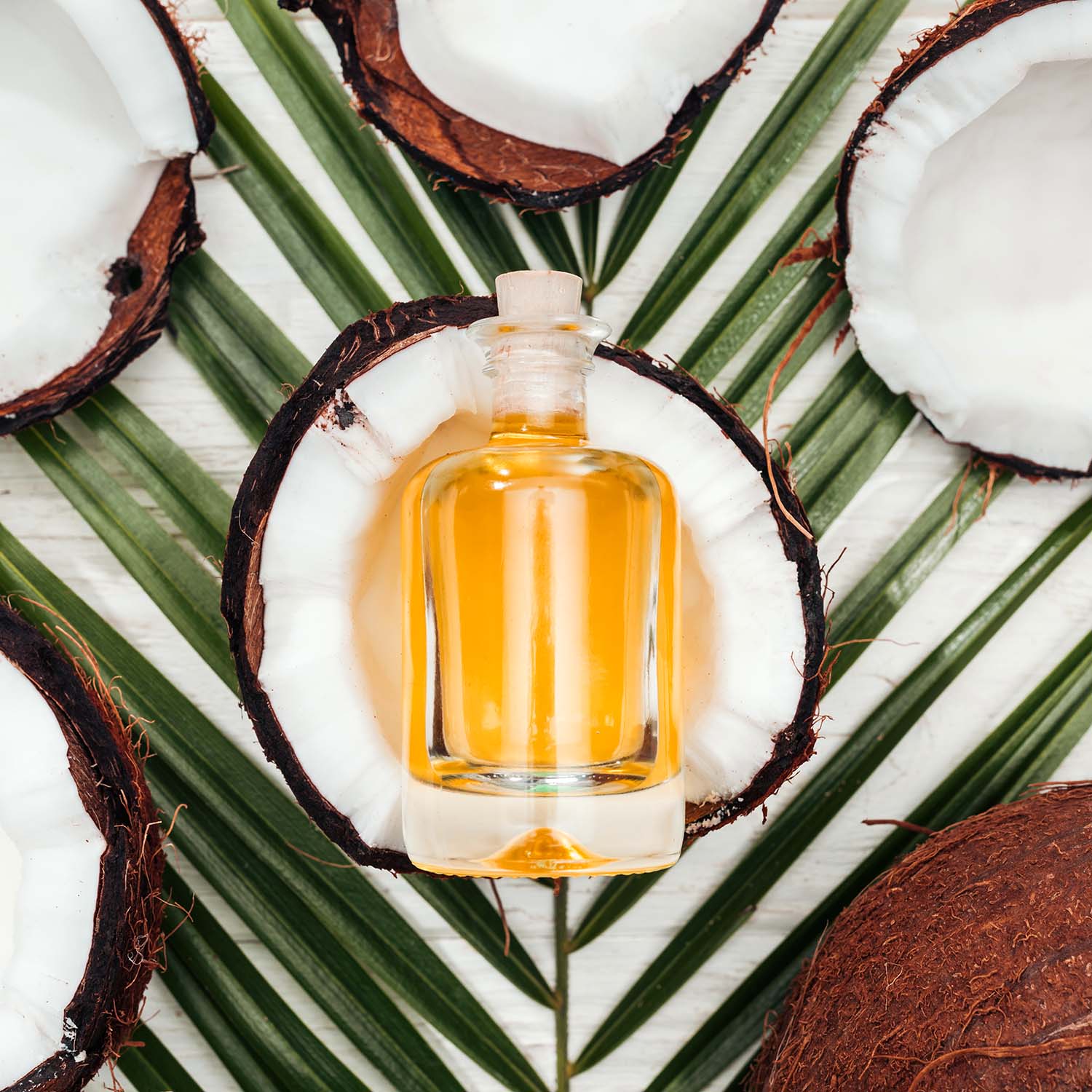 top-view-of-coconut-oil-in-bottle-on-coconut-half-VTN4936.jpg